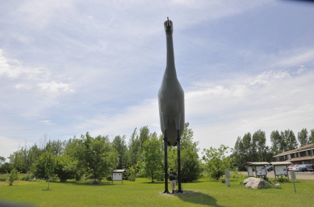 Karen Duquette and the world's largest sandhill crane